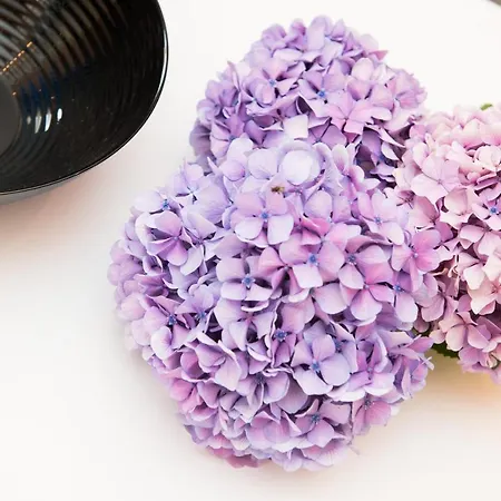 Demmy's Appartement Potamia (Thasos)