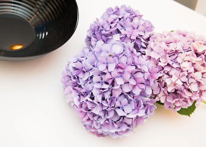 Demmy's Апартаменты Potamia (Thasos)