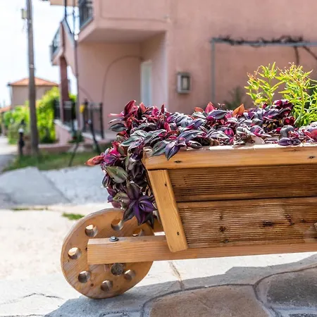 Demmy's * Potamia (Thasos)