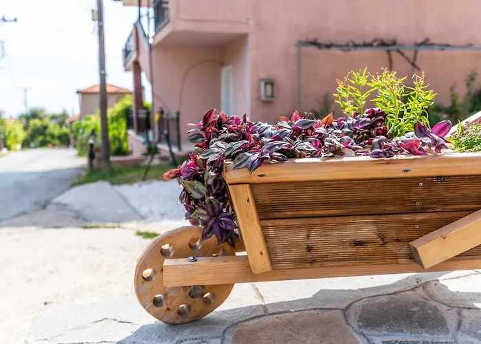 Demmy's * Potamia (Thasos)